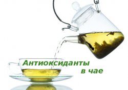 Антиоксиданты в чае Антиоксиданты в чае