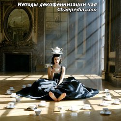 Методы декофеинизации чая Методы декофеинизации чая