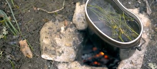 Котелок с собранными побегами на огне Котелок с собранными побегами на огне