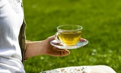 Зеленый чай в летнюю жару утолит жажду Зеленый чай в летнюю жару утолит жажду