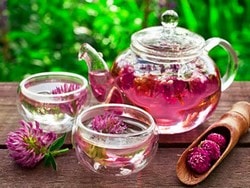 Чай из красного клевера Чай из красного клевера